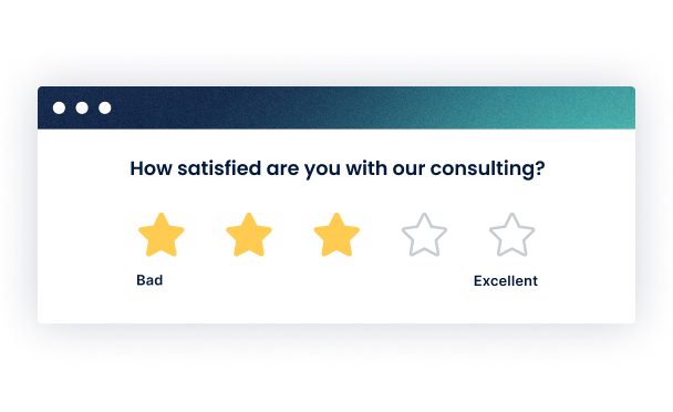 2. Customer Satisfaction Survey