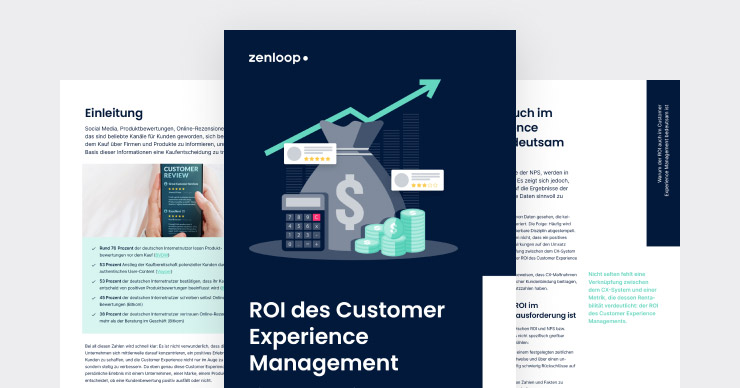 image of roi des nps whitepaper