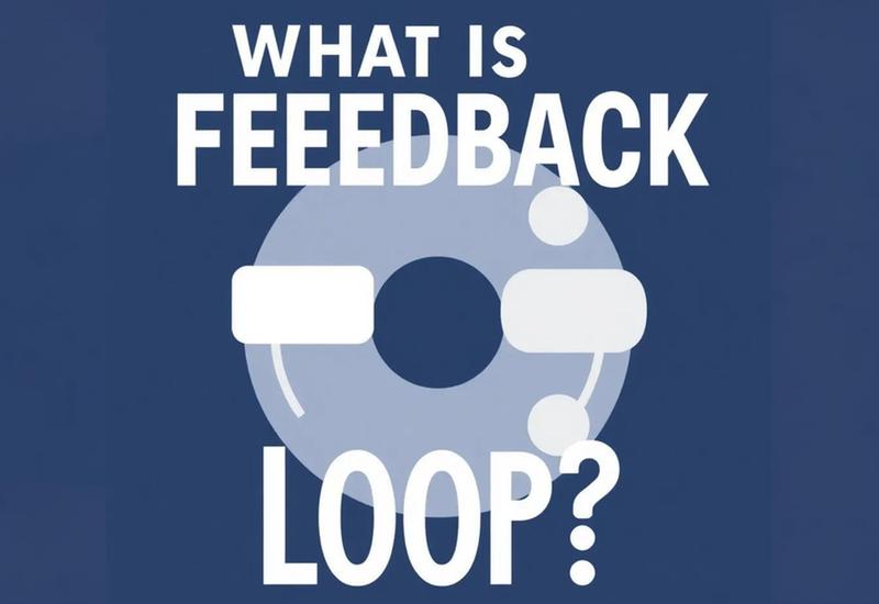 What Is a Feedback Loop?